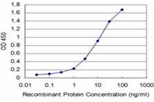 Detection limit for recombinant GST tagged PCNA is approximately 0. (PCNA 抗体  (AA 78-177))