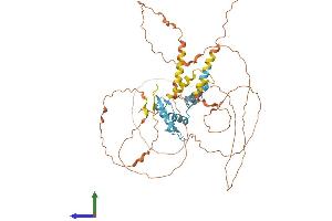 AlphaFold protein structure predicition of Mouse Recombinant Klf11 Protein, UniprotID Q8K1S5 (KLF11 Protein (AA 1-502) (His tag))