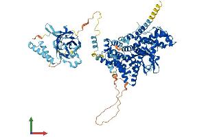 AlphaFold protein structure predicition of Mouse Recombinant Pik3c3 Protein, UniprotID Q6PF93