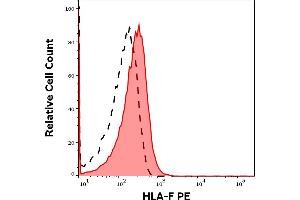 HLA-F Antikörper  (PE)
