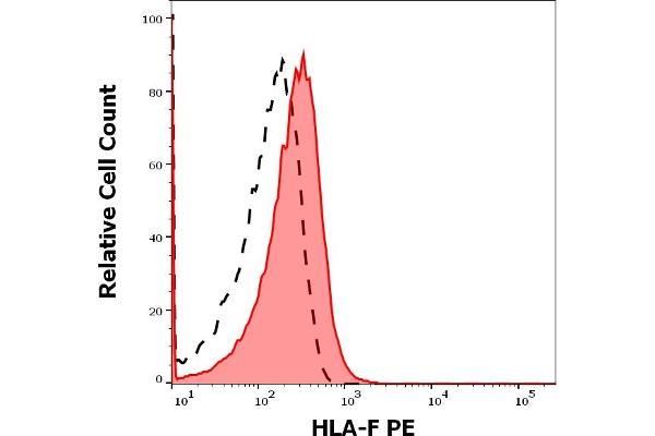 HLA-F Antikörper  (PE)