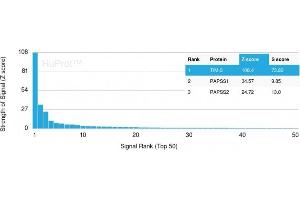 Analysis of Protein Array containing more than 19,000 full-length human proteins using TIM-3 Mouse Monoclonal Antibody (TIM3/3113) Z- and S- Score: The Z-score represents the strength of a signal that a monoclonal antibody (MAb) (in combination with a fluorescently-tagged anti-IgG secondary antibody) produces when binding to a particular protein on the HuProtTM array. (TIM3 抗体  (AA 22-202))