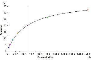 Mouse IL-5 R alpha, His Tag immobilized on CM5 Chip can bind Biotinylated Mouse IL-5, His-Avi Tag with an affinity constant of 0. (IL-5 Protein (AA 21-133) (His-Avi Tag,Biotin))