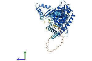 Protein Structure (PS) image for Membrane-Bound Transcription Factor Peptidase, Site 2 (MBTPS2) (AA 1-519) protein (His tag) (ABIN7549257)