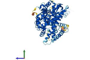 Protein Structure (PS) image for Cytochrome P450, Family 26, Subfamily A, Polypeptide 1 (CYP26A1) (AA 1-497) protein (His tag) (ABIN7546656)