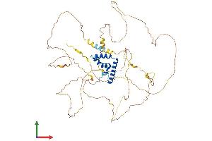 AlphaFold protein structure predicition of Mouse Recombinant Tcf7l1 Protein, UniprotID Q9Z1J1