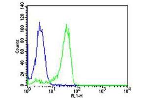 Flow cytometric analysis of Hela cells using NFKB1(green, Cat(ABIN1882050 and ABIN2843642)) compared to an isotype control of mouse IgG1(blue).