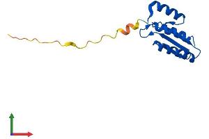 Protein Structure (PS) image for Pterin-4 alpha-Carbinolamine Dehydratase/dimerization Cofactor of Hepatocyte Nuclear Factor 1 alpha (TCF1) 2 (PCBD2) (AA 1-130) protein (His tag) (ABIN7550701)