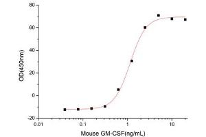 Activity Assay (AcA) image for Colony Stimulating Factor 2 (Granulocyte-Macrophage) (CSF2) (AA 18-141) (Active) protein (His tag) (ABIN7607566)