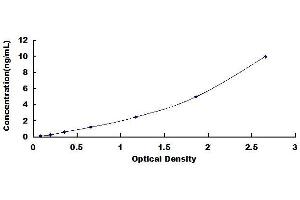 Typical standard curve (Arylsulfatase B ELISA 试剂盒)