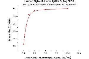 Immobilized Human Siglec-3, Llama IgG2b Fc Tag, low endotoxin (ABIN5954974,ABIN6253597) at 5 μg/mL (100 μL/well) can bind A, Human IgG1 with a linear range of 0. (CD33 Protein (CD33) (AA 18-259) (Fc Tag))