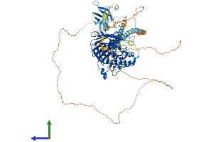 Protein Structure (PS) image for Oxysterol Binding Protein 2 (OSBP2) (AA 1-916) protein (His tag) (ABIN7550535)