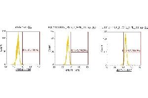 Flow Cytometry (FACS) image for anti-Carboxypeptidase E (CPE) (AA 43-476) antibody (PE) (ABIN5565197) (CPE 抗体  (AA 43-476) (PE))