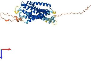 Neuropeptide Y Receptor Y4 (NPY4R) (AA 1-375) protein (His tag)