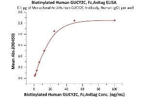 Immobilized Monoclonal A GUCY2C Antibody, Human IgG1 at 1 μg/mL (100 μL/well) can bind Biotinylated Human GUCY2C, Fc,Avitag (ABIN6973083) with a linear range of 0.