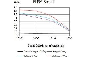 Black line: Control Antigen (100 ng),Purple line: Antigen (10 ng), Blue line: Antigen (50 ng), Red line:Antigen (100 ng) (Cyclin D1 抗体  (AA 1-295))