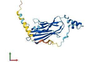 Protein Structure (PS) image for rho GDP Dissociation Inhibitor (GDI) gamma (ARHGDIG) (AA 1-225) protein (His tag) (ABIN7547920)