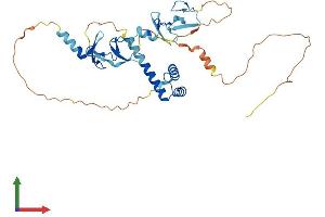 AlphaFold protein structure predicition of Human Recombinant ISL2 Protein, UniprotID Q96A47
