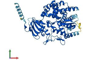 Protein Structure (PS) image for Prostaglandin I2 (Prostacyclin) Synthase (PTGIS) (AA 1-500) protein (His tag) (ABIN7551043)
