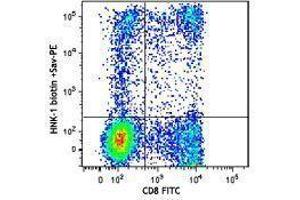 Flow Cytometry (FACS) image for anti-beta-1,3-Glucuronyltransferase 1 (Glucuronosyltransferase P) (B3GAT1) antibody (Biotin) (ABIN2660765) (CD57 抗体  (Biotin))