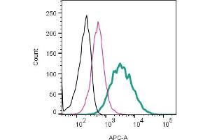 Cell surface detection of Nav1.