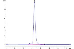 Size-exclusion chromatography-High Pressure Liquid Chromatography (SEC-HPLC) image for MHC Class I Polypeptide-Related Sequence A (MICA) (AA 24-308) protein (His-Avi Tag) (ABIN7275255)