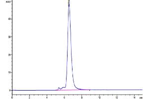 The purity of Human MICA is greater than 95 % as determined by SEC-HPLC. (MICA Protein (AA 24-308) (His-Avi Tag))