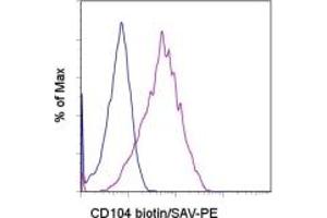 Image no. 1 for anti-Integrin beta 4 (ITGB4) antibody (Biotin) (ABIN475744) (Integrin beta 4 抗体  (Biotin))