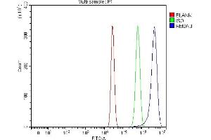 Flow Cytometry analysis of HepG2 cells using anti-PTPIP51/RMDN3 antibody (ABIN7601775).
