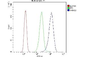 Flow Cytometry analysis of A431 cells using anti-TIF1 gamma antibody (ABIN3043492). (TRIM33 抗体  (AA 1001-1127))