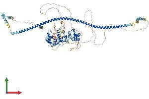 Protein Structure (PS) image for Liprin-beta-2 (PPFIBP2) (AA 1-876) protein (His tag) (ABIN7549045)