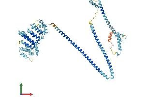 AlphaFold protein structure predicition of Human Recombinant IQCB1 Protein, UniprotID Q15051