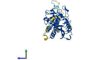 Protein Structure (PS) image for Globoside alpha-1,3-N-Acetylgalactosaminyltransferase 1 (GBGT1) (AA 1-347) protein (His tag) (ABIN7559947)