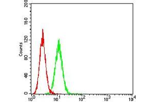 Flow cytometric analysis of Hela cells using CHRNA10 mouse mAb (green) and negative control (red). (CHRNA10 抗体  (AA 25-237))