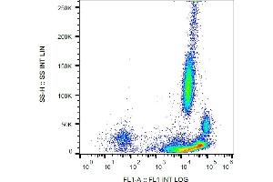Flow cytometry analysis (surface staining) of β2-microglobulin in human peripheral blood with anti-β2-microglobulin (B2M-01) FITC. (beta-2 Microglobulin 抗体  (FITC))