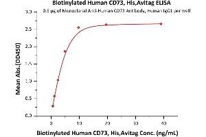 Immobilized Monoclonal A CD73 Antibody, Human IgG1 at 5 μg/mL (100 μL/well) can bind Biotinylated Human CD73, His,Avitag (ABIN6810044,ABIN6938889) with a linear range of 0.
