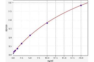 Typical standard curve (C-Jun N-Terminal Kinases ELISA 试剂盒)