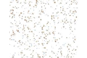 Immunocytochemistry (ICC) image for anti-CD36 (CD36) (AA 30-439) antibody (ABIN7449417) (Recombinant CD36 抗体  (AA 30-439))