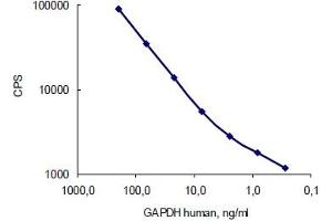 Antigen: Human GAPDH, Capture: GAPDH antibody (10R-G109a) served as a coating; Detection: GAPDH antibody (10R-G109a)  (labelled with stable Eu3+ chelate). (GAPDH 抗体)