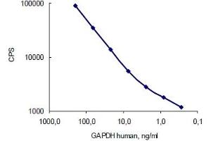 Antigen: Human GAPDH, Capture: GAPDH antibody (10R-G109a) served as a coating; Detection: GAPDH antibody (10R-G109a)  (labelled with stable Eu3+ chelate).