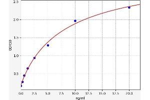 Typical standard curve (ICAM2 ELISA 试剂盒)