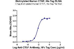 ELISA image for Connective Tissue Growth Factor (CTGF) (AA 27-349) protein (His-Avi Tag,Biotin) (ABIN7274343)