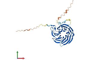 Protein Structure (PS) image for WD Repeat Domain 55 (WDR55) (AA 1-383) protein (His tag) (ABIN7545175)