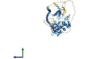 Protein Structure (PS) image for Caspase Recruitment Domain Family, Member 14 (CARD14) (AA 1-1004) protein (His tag) (ABIN7553075)