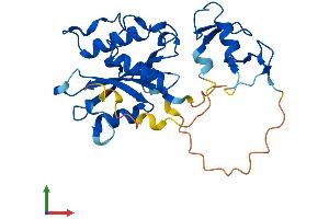 Protein Structure (PS) image for SLX1 Structure-Specific Endonuclease Subunit Homolog B (SLX1B) (AA 1-270) protein (His tag) (ABIN7558985)