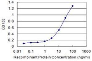 Detection limit for recombinant GST tagged PROK1 is 0. (Prokineticin 1 抗体  (AA 1-105))