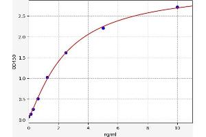 Typical standard curve (EPAS1 ELISA 试剂盒)