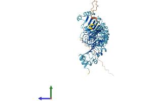 Protein Structure (PS) image for Leucine Rich Repeat Containing 40 (LRRC40) (AA 1-602) protein (His tag) (ABIN7549207)