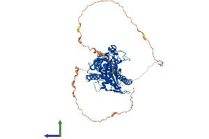 AlphaFold protein structure predicition of Human Recombinant CGAS Protein, UniprotID Q8N884