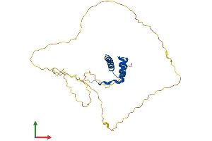 AlphaFold protein structure predicition of Mouse Recombinant Hoxd12 Protein, UniprotID P23812